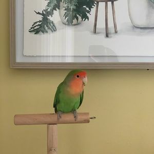 Meet your Posher, Jose